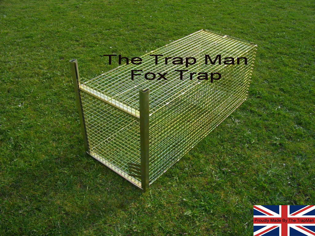 Flat packed Fox trap with wire treadle plate