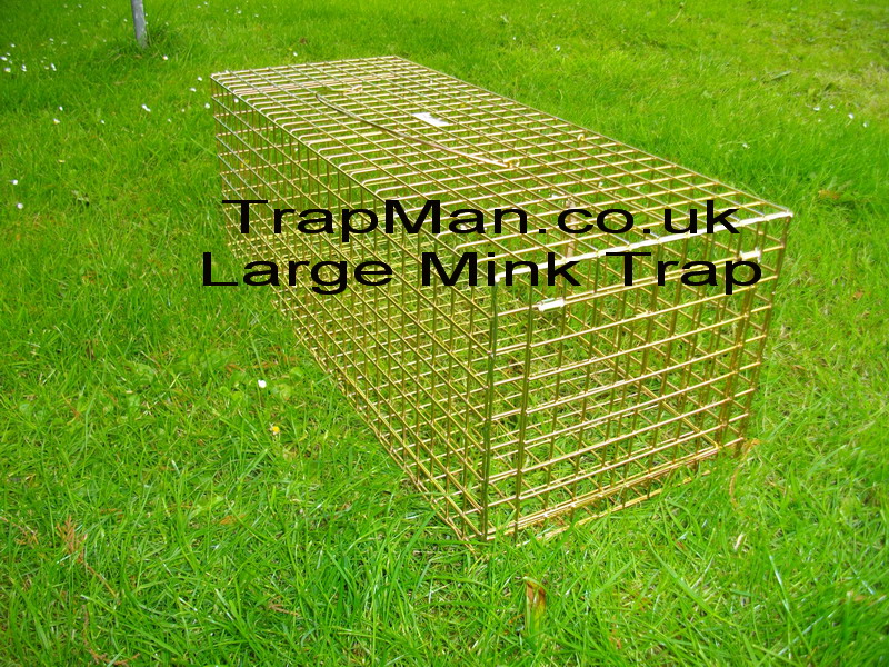 Click on the larger mink trap photo for more information or to buy