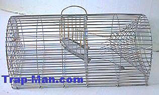 trap man live catch monarch repeating rat trap