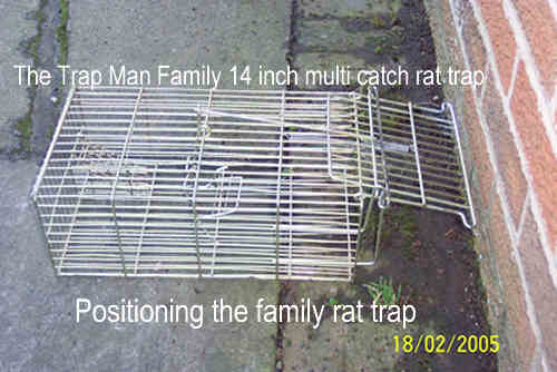 Family rat trap setting