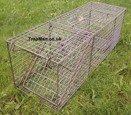 large cat trap closed and locked