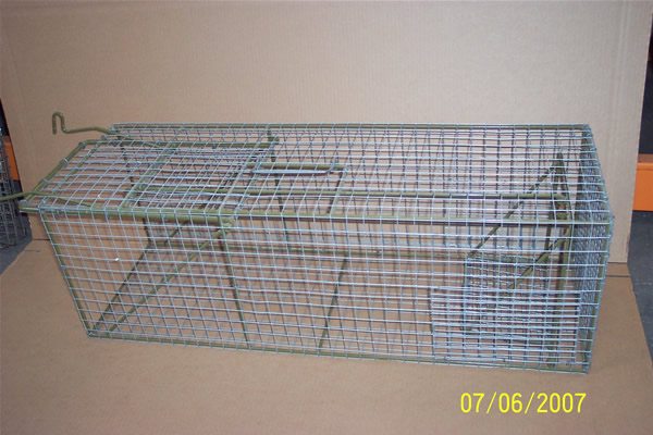 large cat trap set