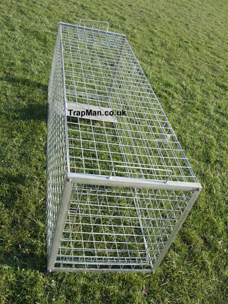 professional fox trap