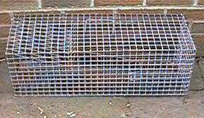 rabbit trap