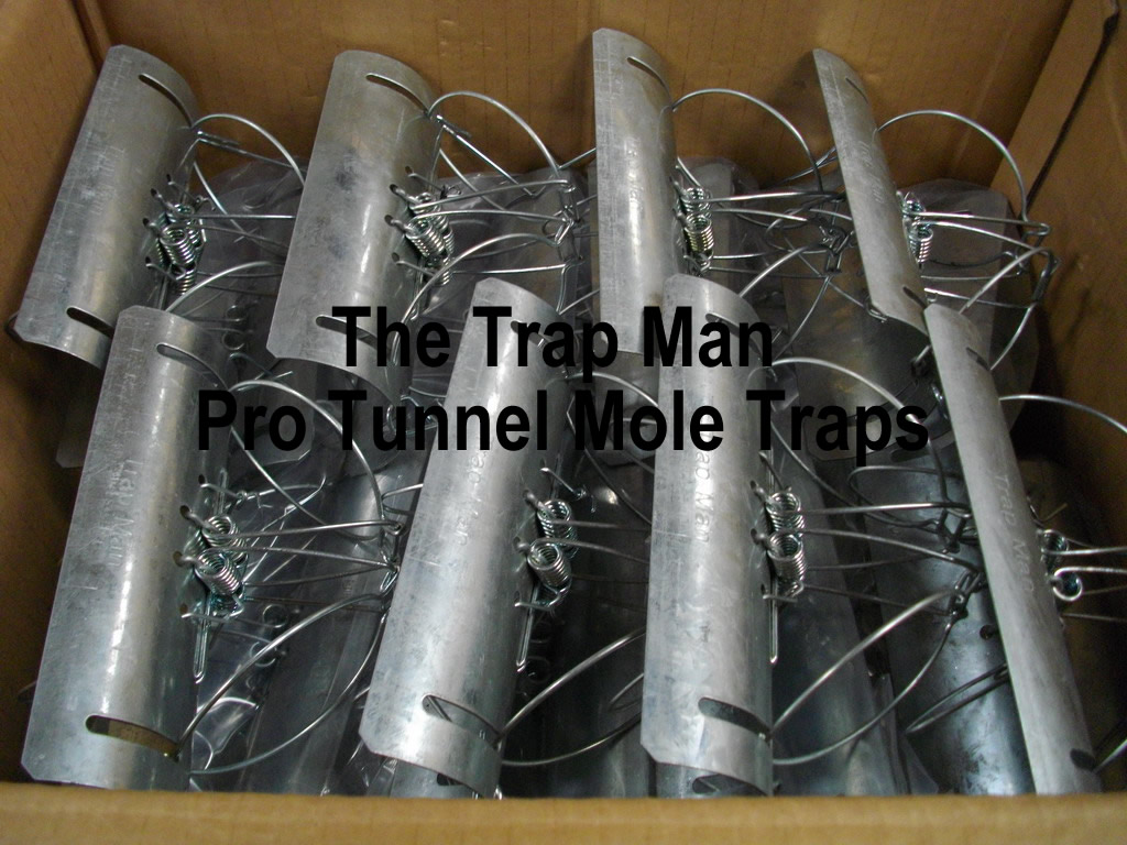 pro tunnel mole traps, mole traps designed for professional use