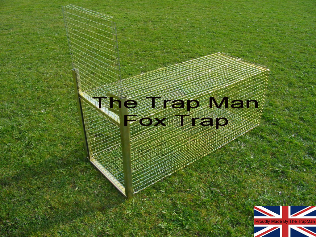 new fox trap in set position