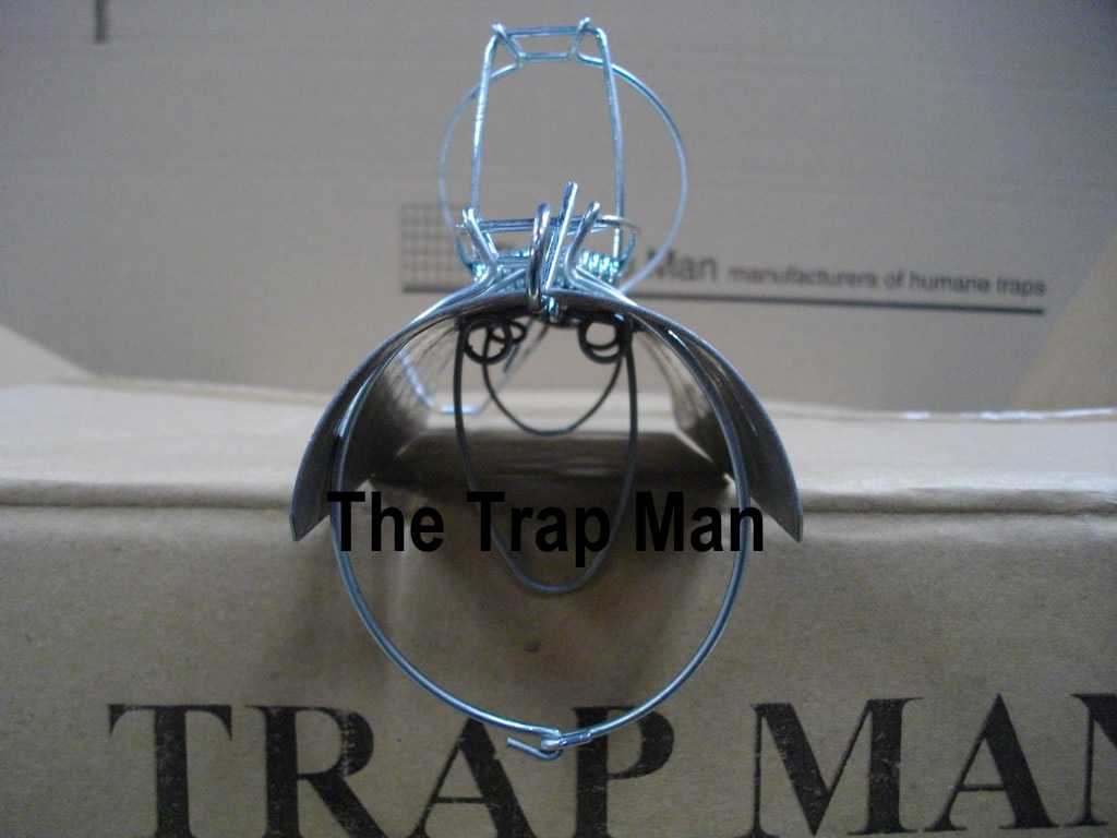 pro-tunnel-mole trap end view