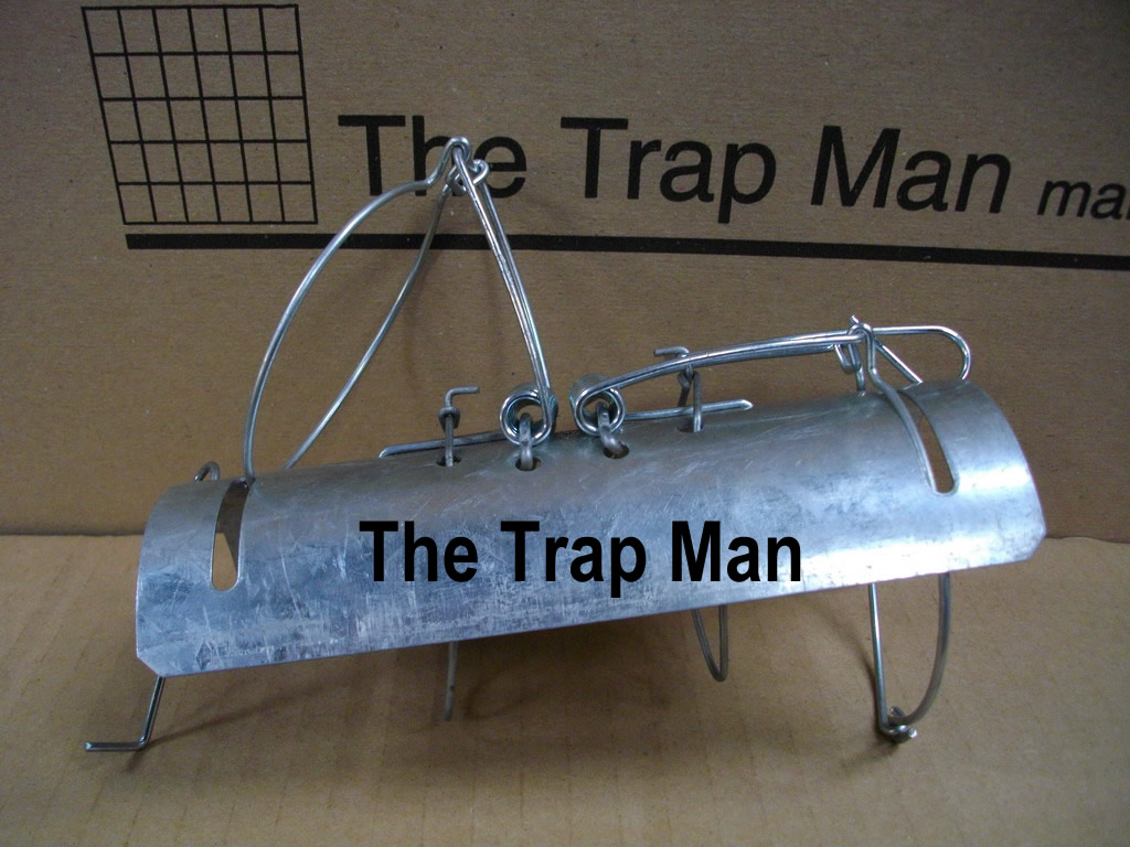 pro tunnel mole trap