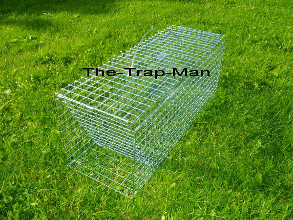 wood pigeon trap in the closed "tripped" position