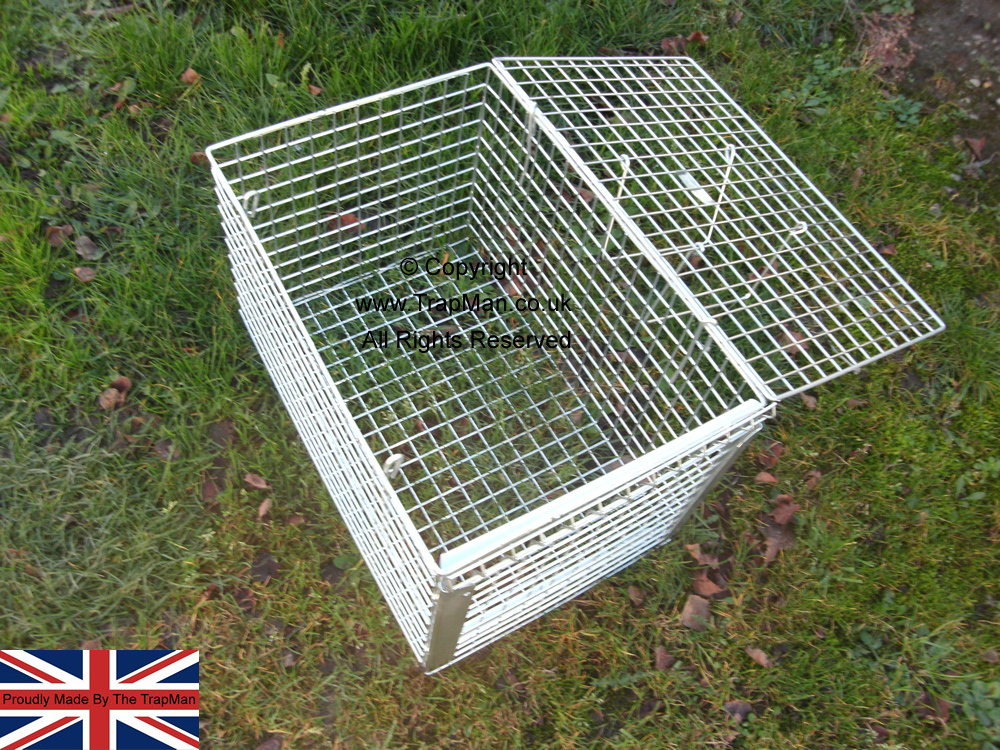 Trap transfer cage showing large top opening