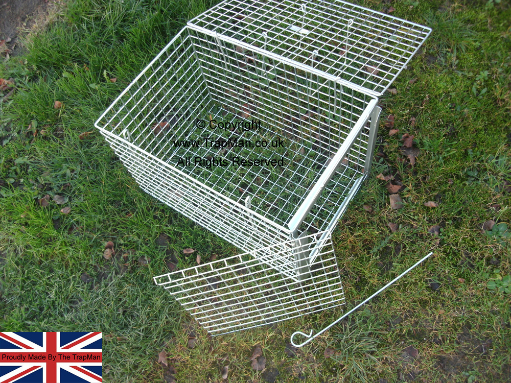 Trap transfer cage with top and side doors