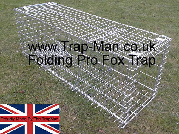 Fox traps made by The TrapMan humane and effective, thousands sold