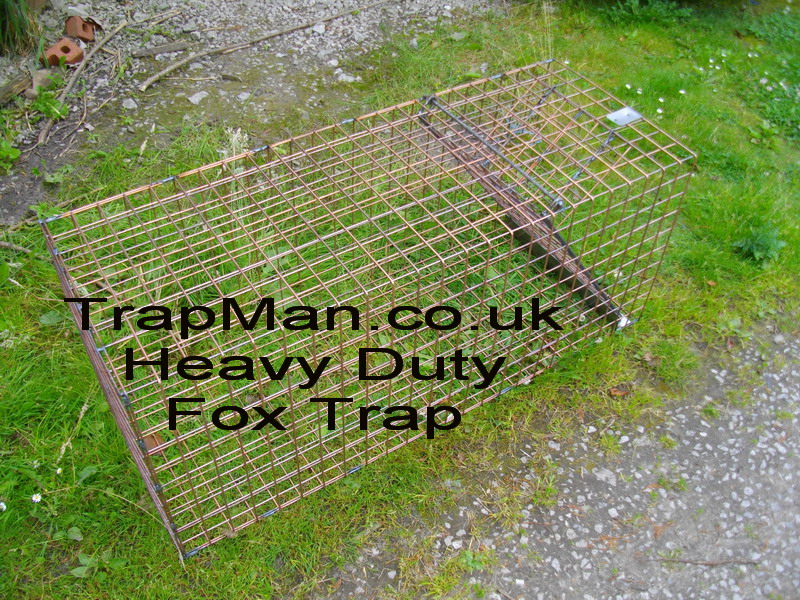 The TrapMan heavy duty fox trap