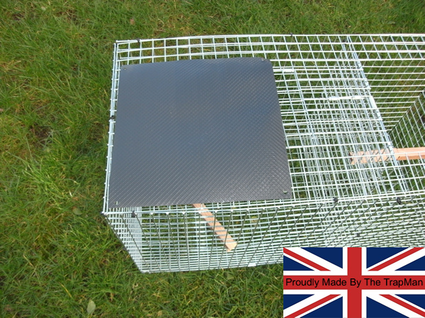 Single catch magpie trap brand new UK made by The TrapMan