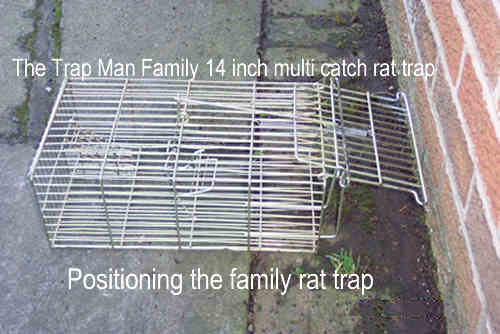 family rat trap setting