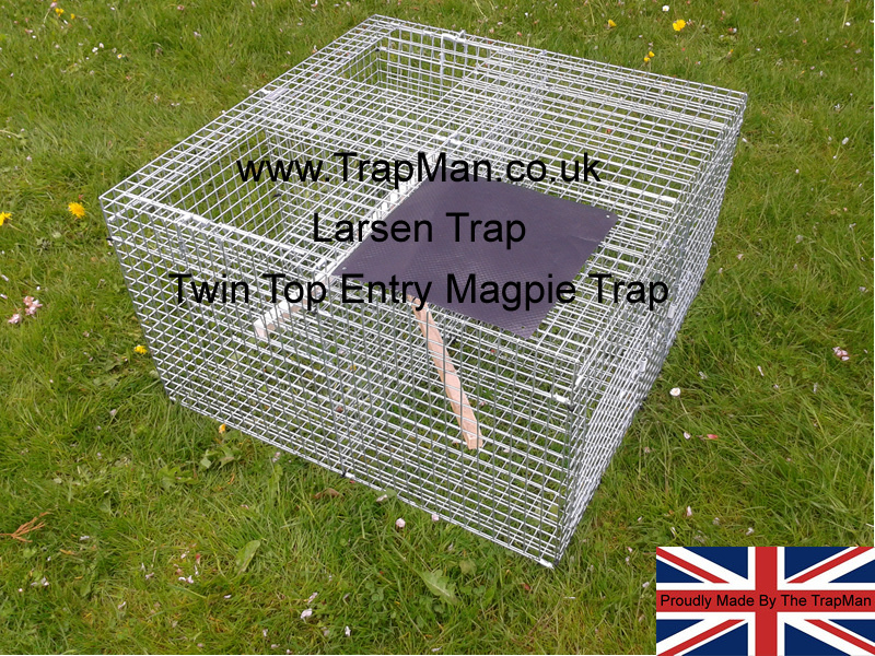Larsen traps, magpie traps, crow traps made in England by The TrapMan & approved for use in England, Wales and Scotland with a trap tag