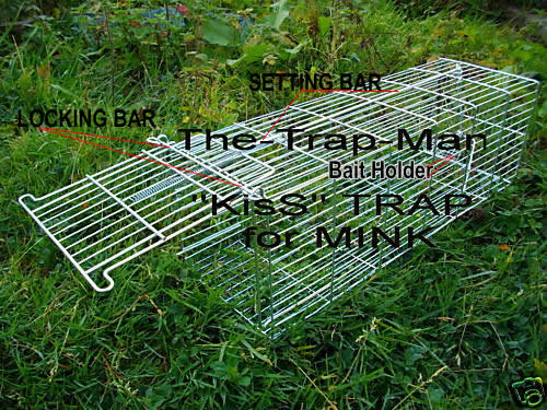 KisS3 Mink trap setting