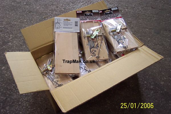 box of twelve wooden rat traps