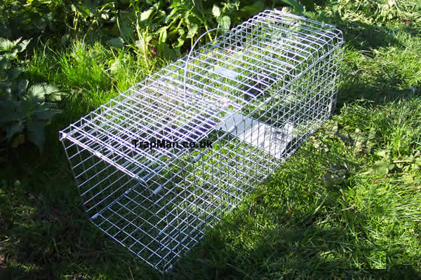 Pack of six folding rabbit traps, save money buy six rabbit traps
