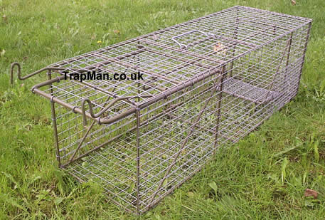 Large feral cat trap, a much longer, larger cat trap for catching