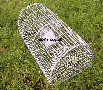 monarch rat trap