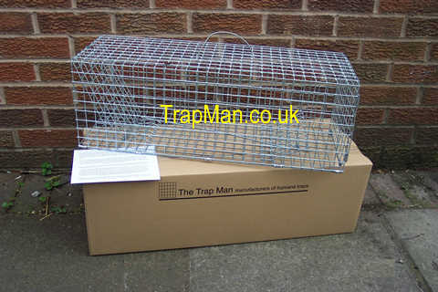 single catch rabbit trap