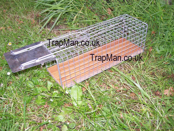 single catch rat trap