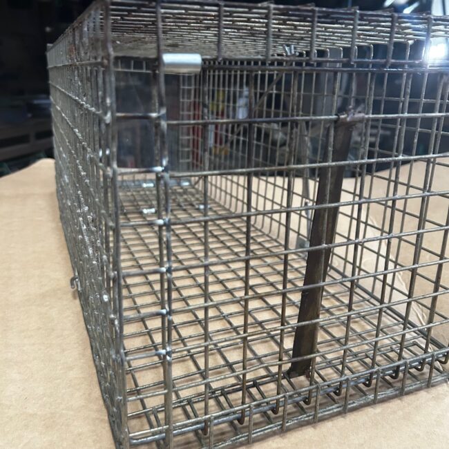 10 Year Old Cat Trap 10 Year Old Pro Feral Cat TRap
