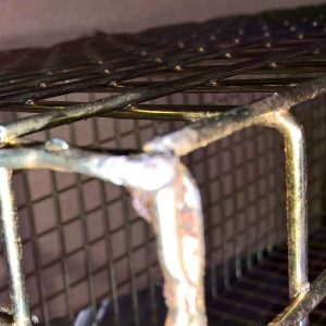 seconds quality feral cat trap