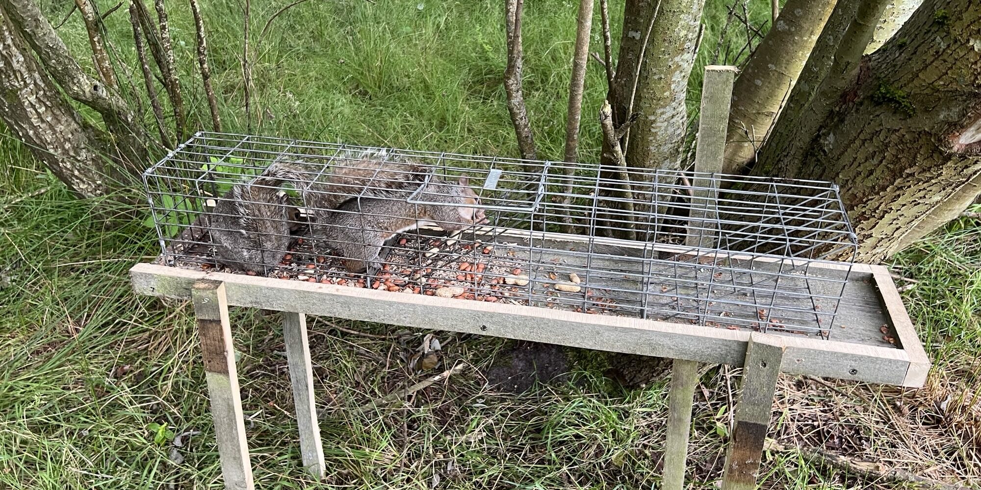 Our TrapMan Bolt Trap Our TrapMan Bolt Trap