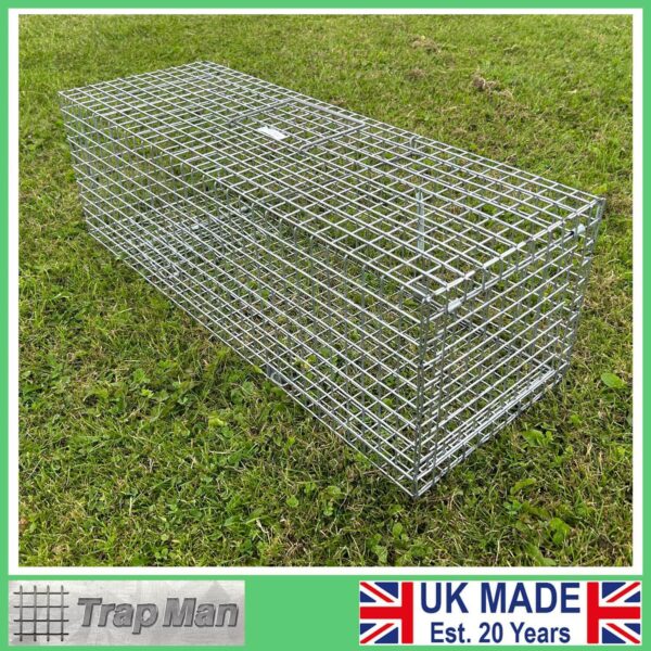 feral cat trap