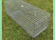 feral cat trap