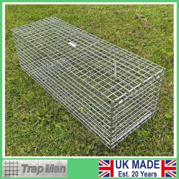 feral cat trap