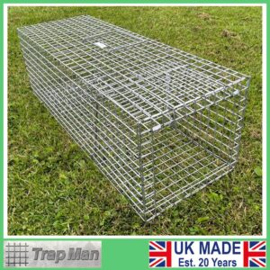 feral cat trap