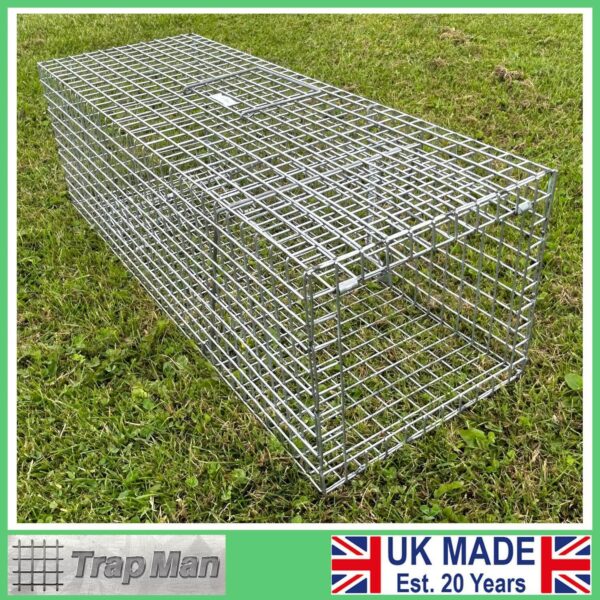 feral cat trap