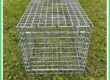 we're ever so sorry but it has been go go go here at TrapMan over the last few weeks. feral cat trap