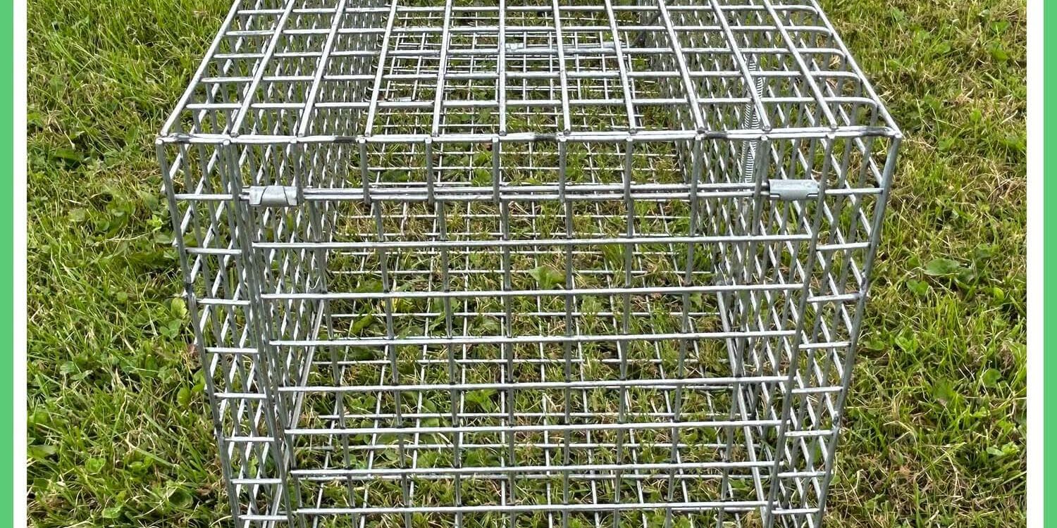we're ever so sorry but it has been go go go here at TrapMan over the last few weeks. feral cat trap