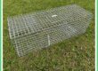feral cat trap