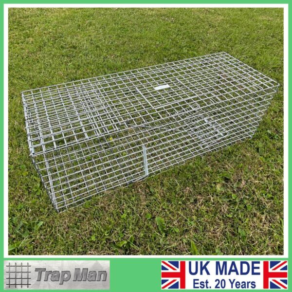 feral cat trap