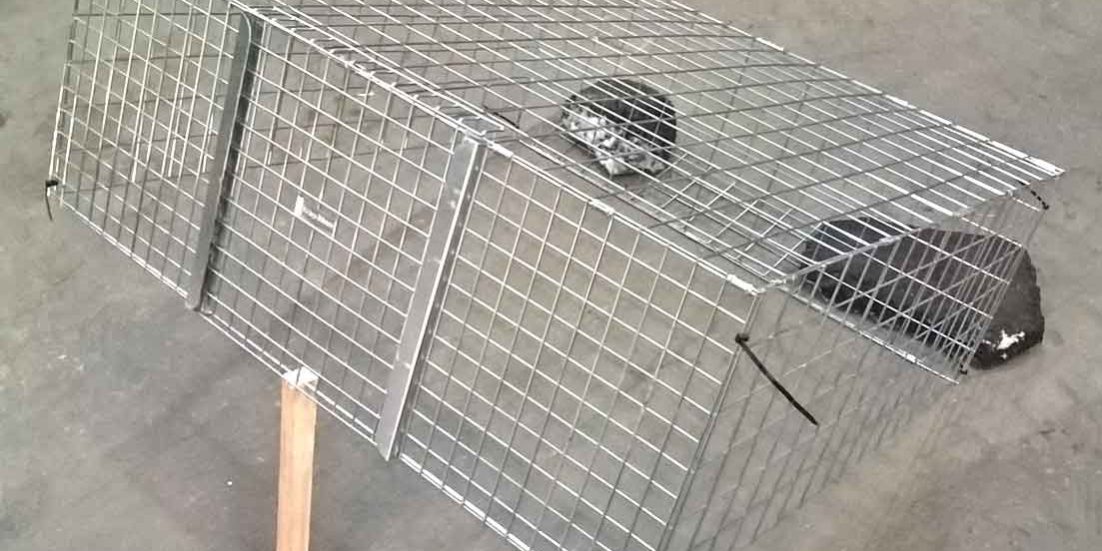 photo shows the weighty items placed on the “flap” to secure the “hinge” tent pegs can also be used on soft earth Bait the trap towards the back near to the hinge but not too near as to enable the cats to reach in through the mesh to retrieve the bait