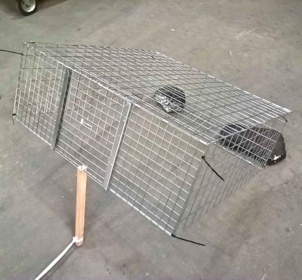 Feral Cat drop trap Drop traps allow you to catch a cat or cats and kittens