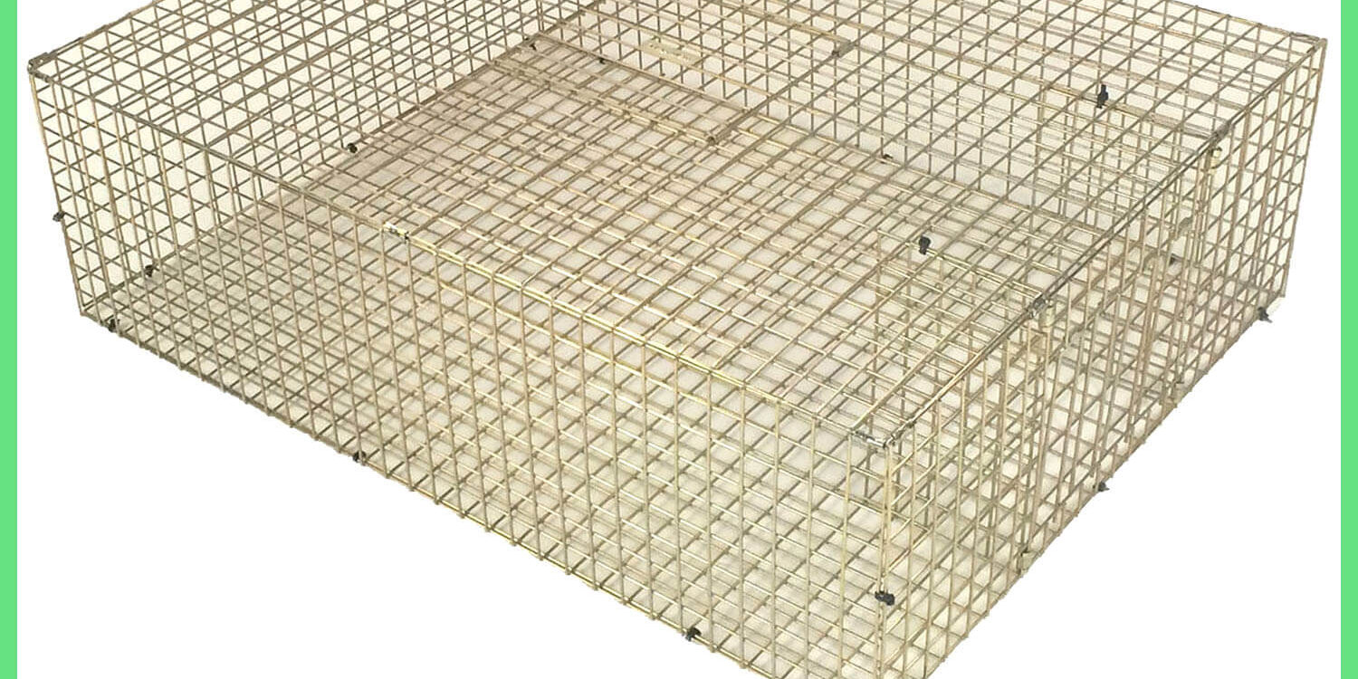 TrapMan Feral Pigeon Trap TrapMan Feral Pigeon Trap