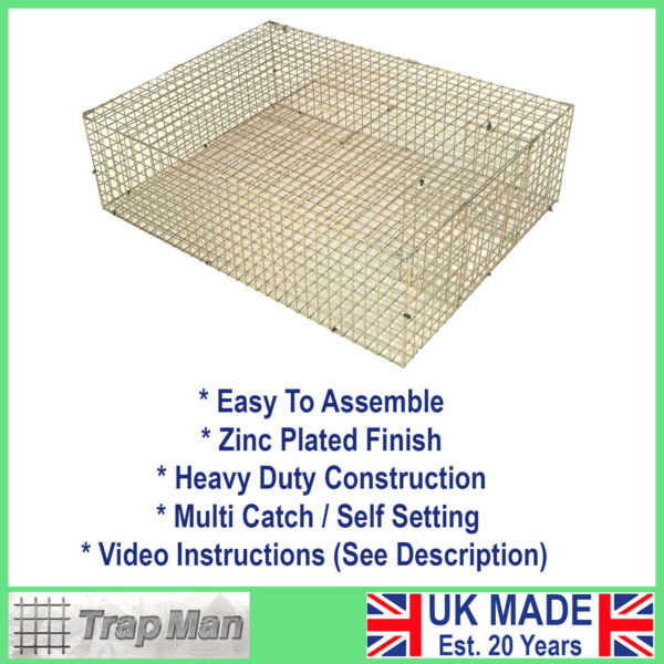 TrapMan Feral Pigeon Trap