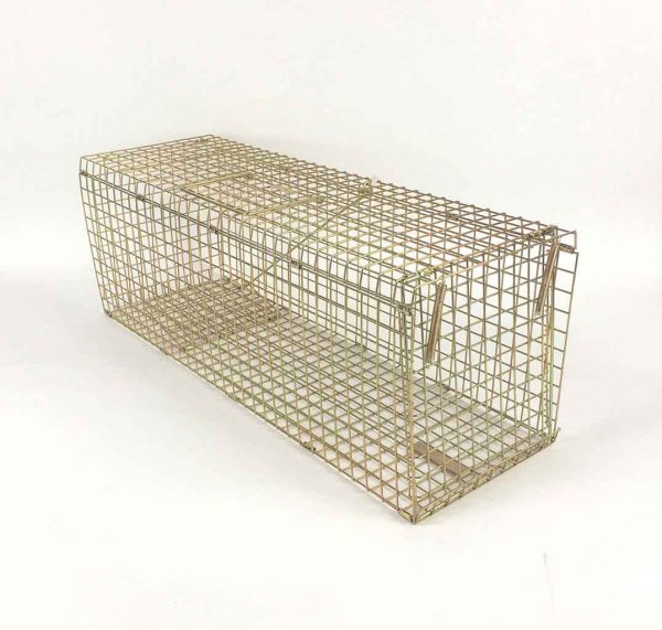 Folding feral cat trap