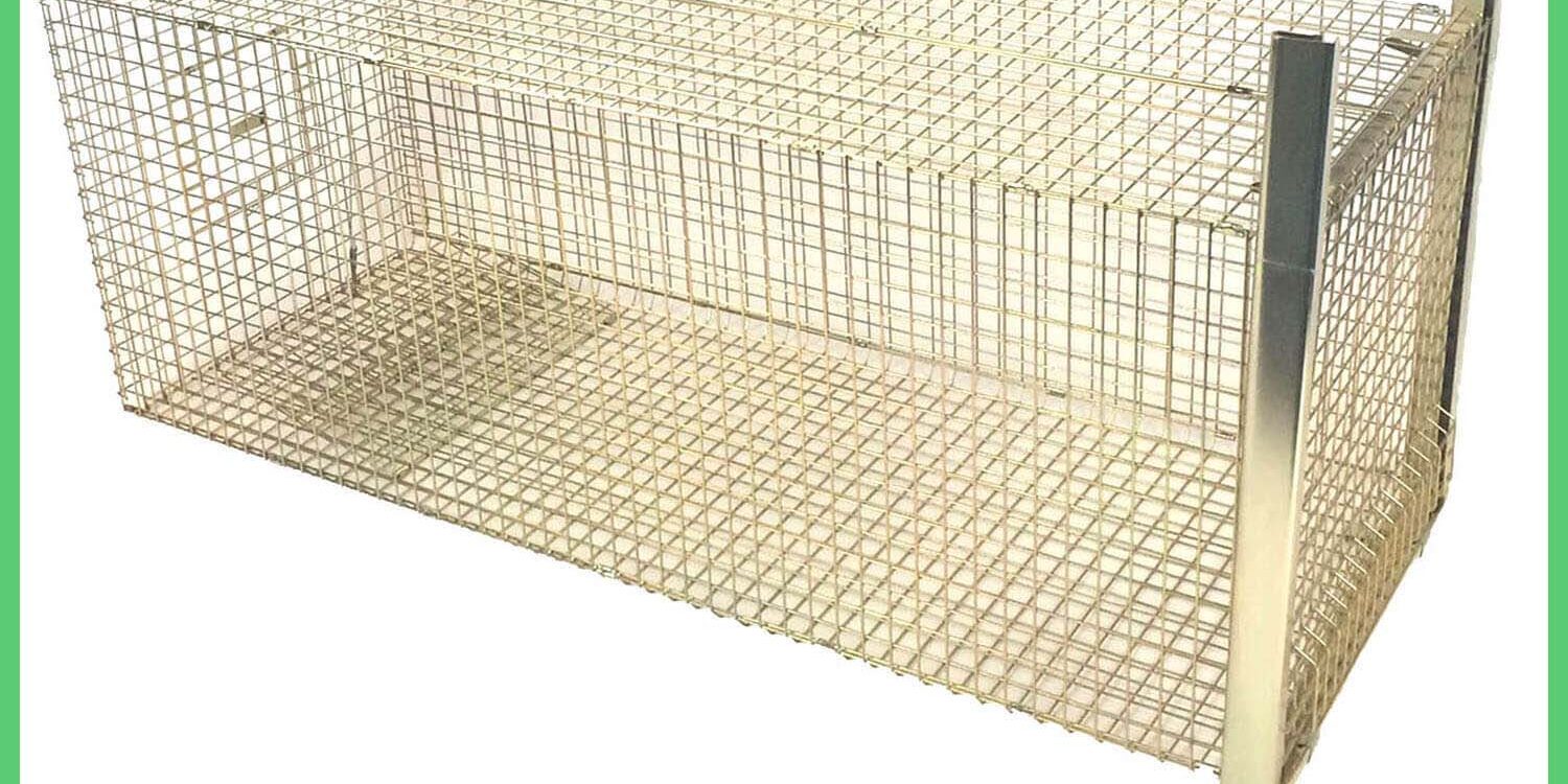 Fox-Trap-Main Fox Trap Closed