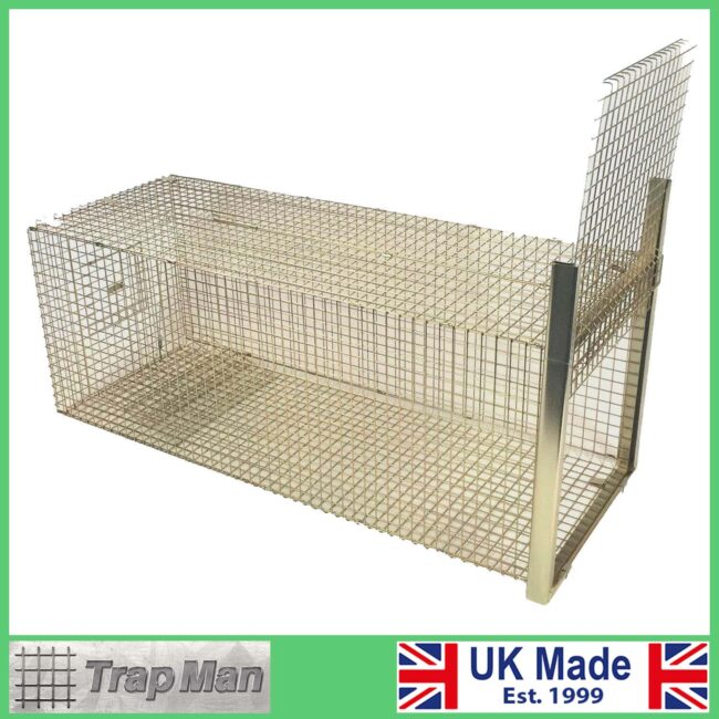 Fox-Trap-Set-1 Fox Trap Popular this week Set with door open at the front of the trap