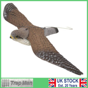 Kestrel hawk decoy bird scarer