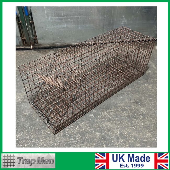 Heavy Duty Fox 1 Heavy Duty Fox Trap main image