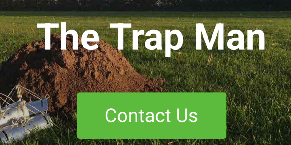 IMG_8261 contact TheTrapMan