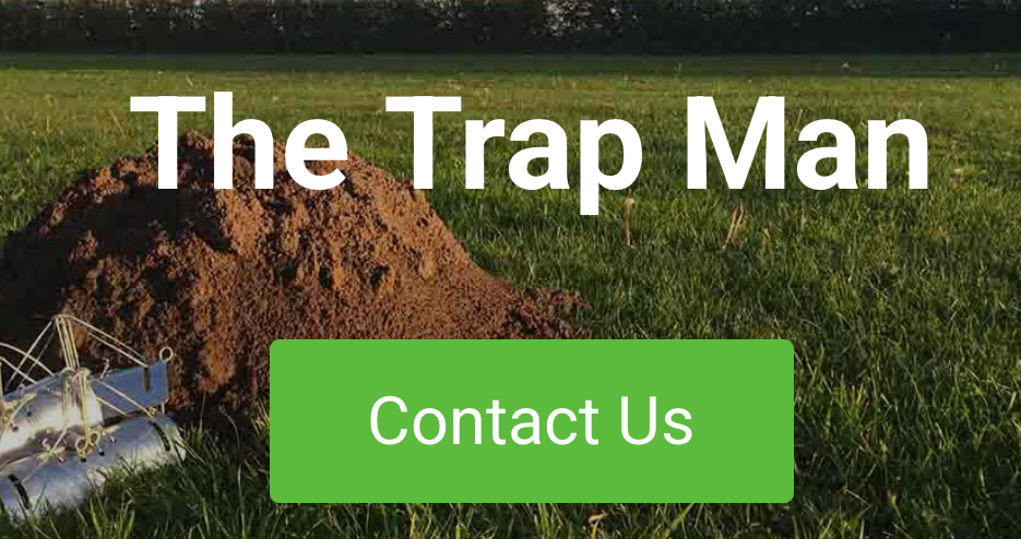 IMG_8261 contact TheTrapMan